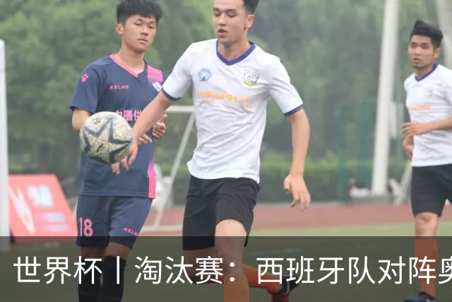 世界杯丨淘汰赛：西班牙队对阵奥地利队