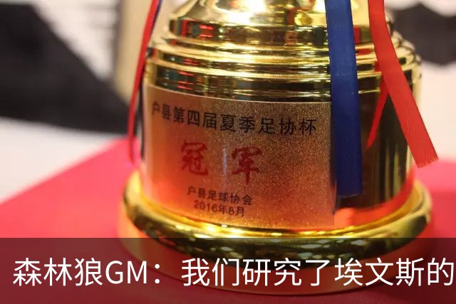 森林狼GM：我们研究了埃文斯的每次三分投篮 相信其技术能对接NBA