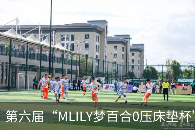 第六届“MLILY梦百合0压床垫杯”世界围棋公开赛国际预选赛5月8日如皋开战